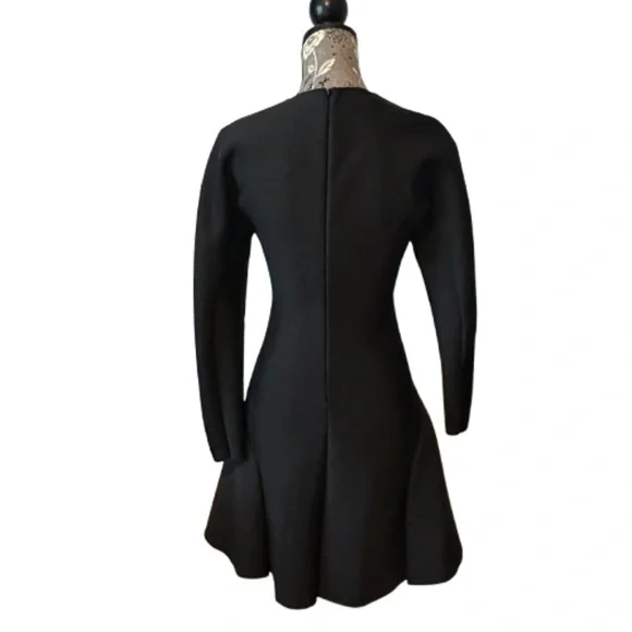COS Women's XS Black Designer Long Sleeve Mini Dress With Fitted Silhouette  - coffeafoods.com